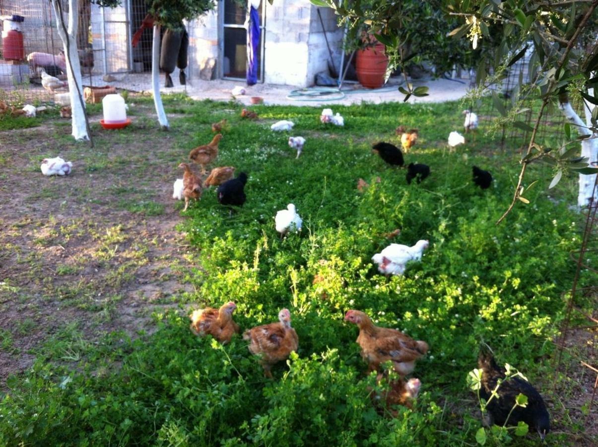 Bio Garden Stonehouse Villa Gonia Ngoại thất bức ảnh