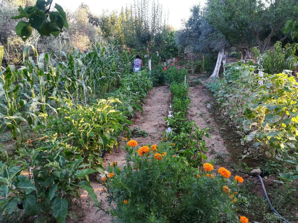 Bio Garden Stonehouse Villa Gonia Ngoại thất bức ảnh